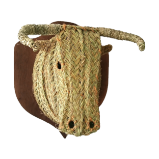Trofeo cabeza de toro