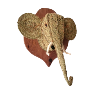 Trofeo cabeza de elefante