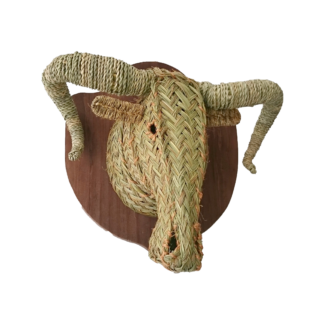 Trofeo de cabeza de muflón